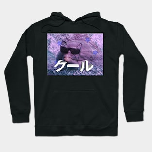 Cool Dolphin with Sunglasses vaporwave Hoodie